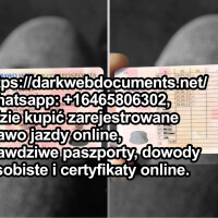 WhatAp +16465806302, Kup zarejestrowane prawo jazdy.